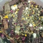 Hair Wash(more than 30 herbs) 1 kg